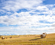 Agence web spécialisée dans votre domaine agriculture